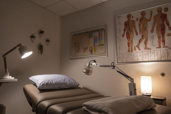 interior shot of acupucture room with hanging plants and anatomic artwork